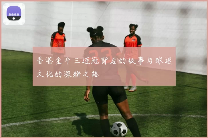 香港金牛三连冠背后的故事与球迷文化的深耕之路